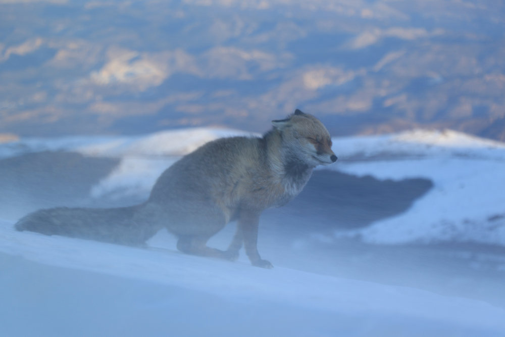 We start the new week!